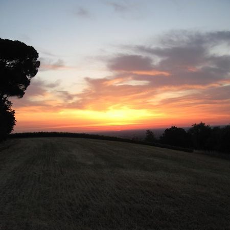 Tenuta Olmatello Quartolo ภายนอก รูปภาพ