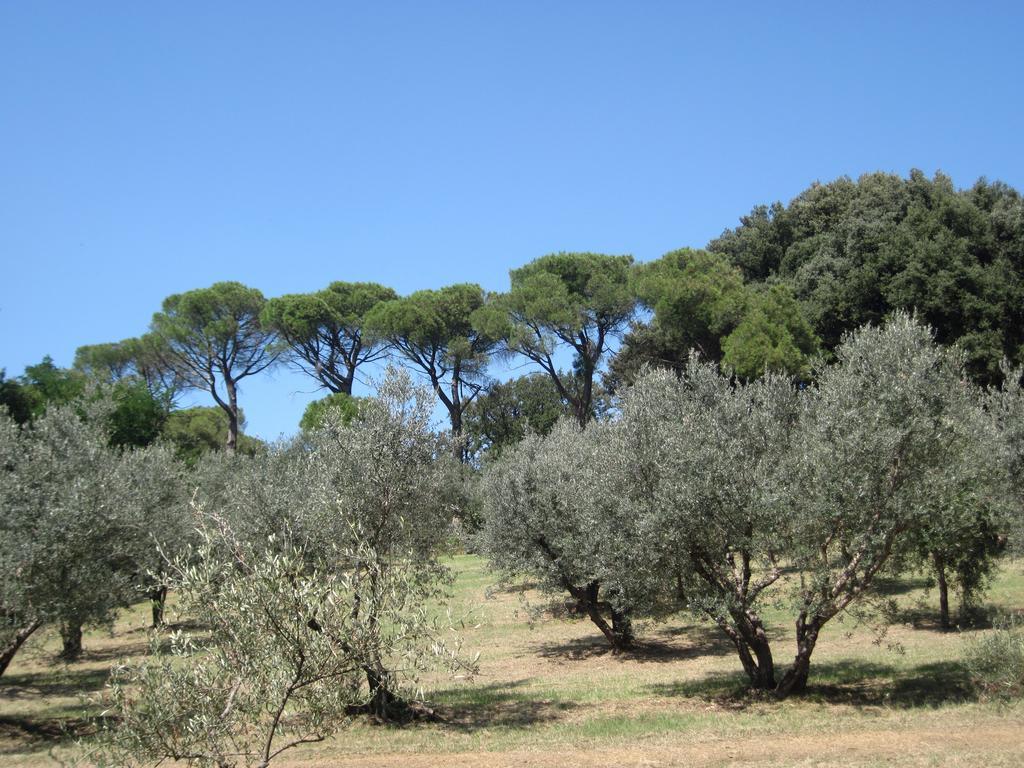 Tenuta Olmatello Quartolo ภายนอก รูปภาพ