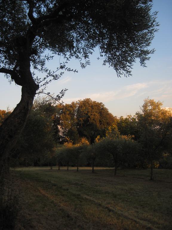 Tenuta Olmatello Quartolo ภายนอก รูปภาพ
