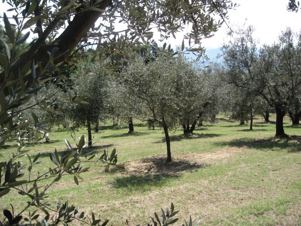 Tenuta Olmatello Quartolo ภายนอก รูปภาพ