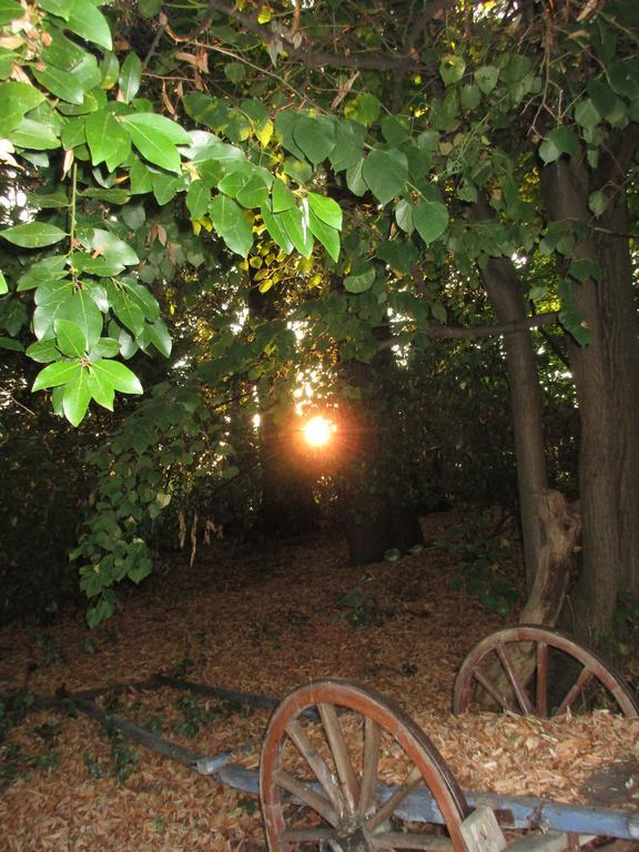 Tenuta Olmatello Quartolo ภายนอก รูปภาพ