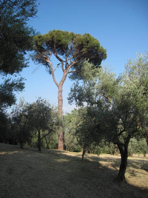 Tenuta Olmatello Quartolo ภายนอก รูปภาพ